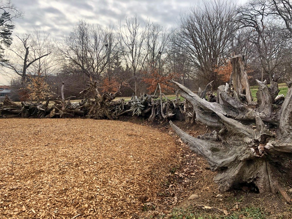 A collection of stumps formed into an arc