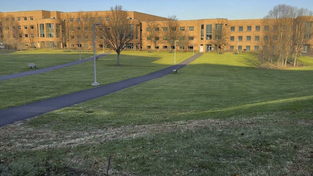Campus Green lawn
