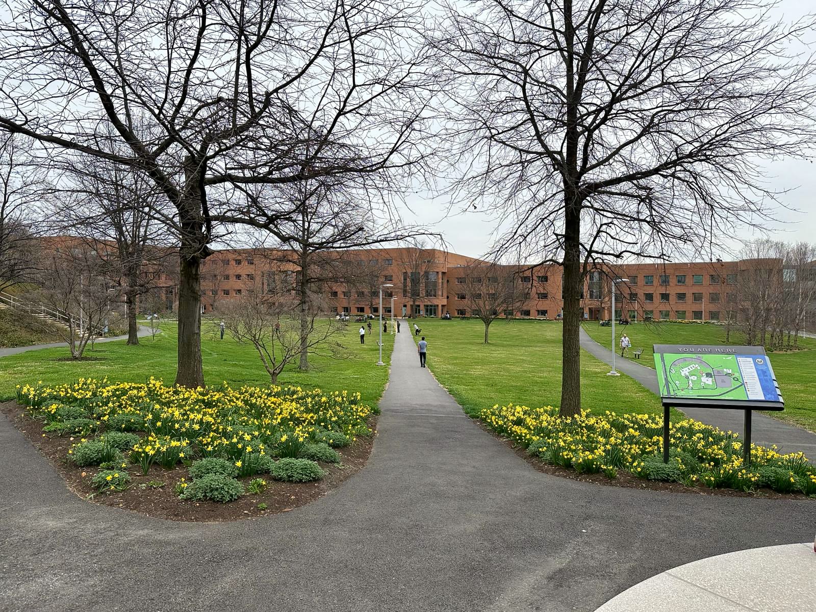 Campus Green lawn