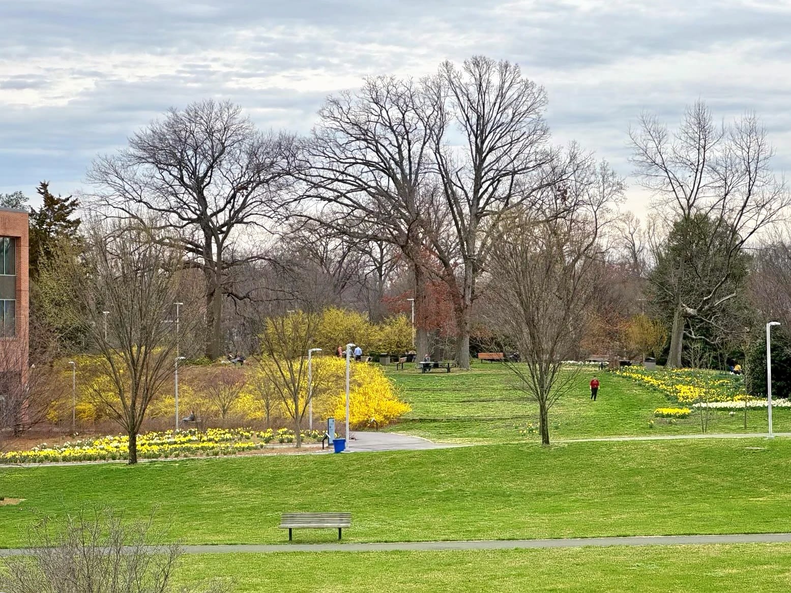 Campus Green lawn