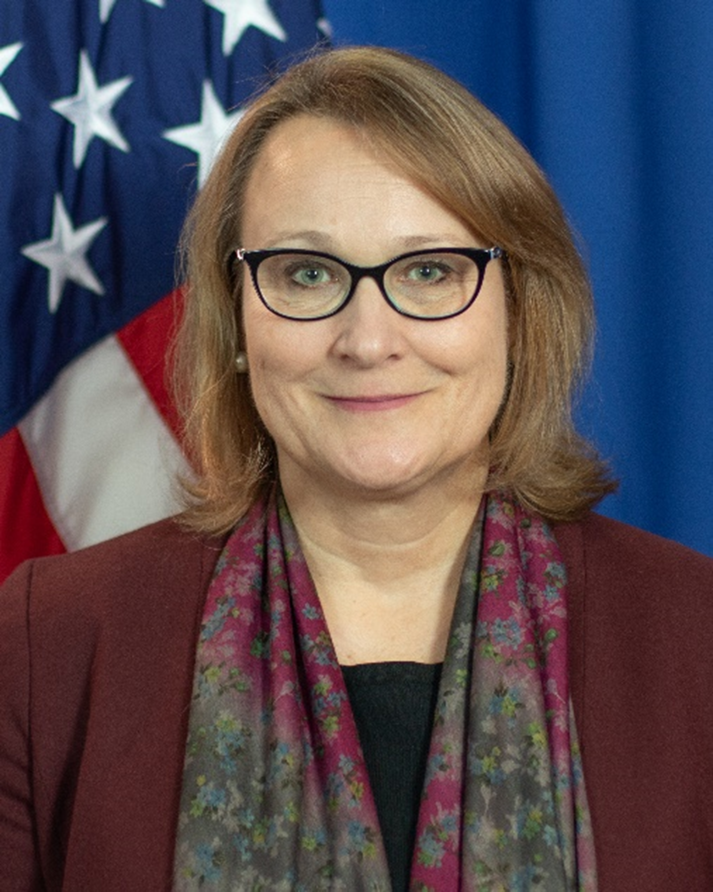 Official picture of Ambassador Polaschik with American flag in background