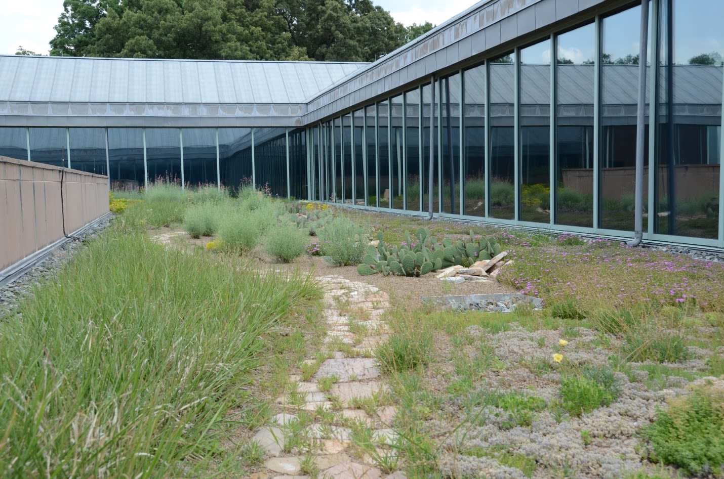 Overview of the Green Roof