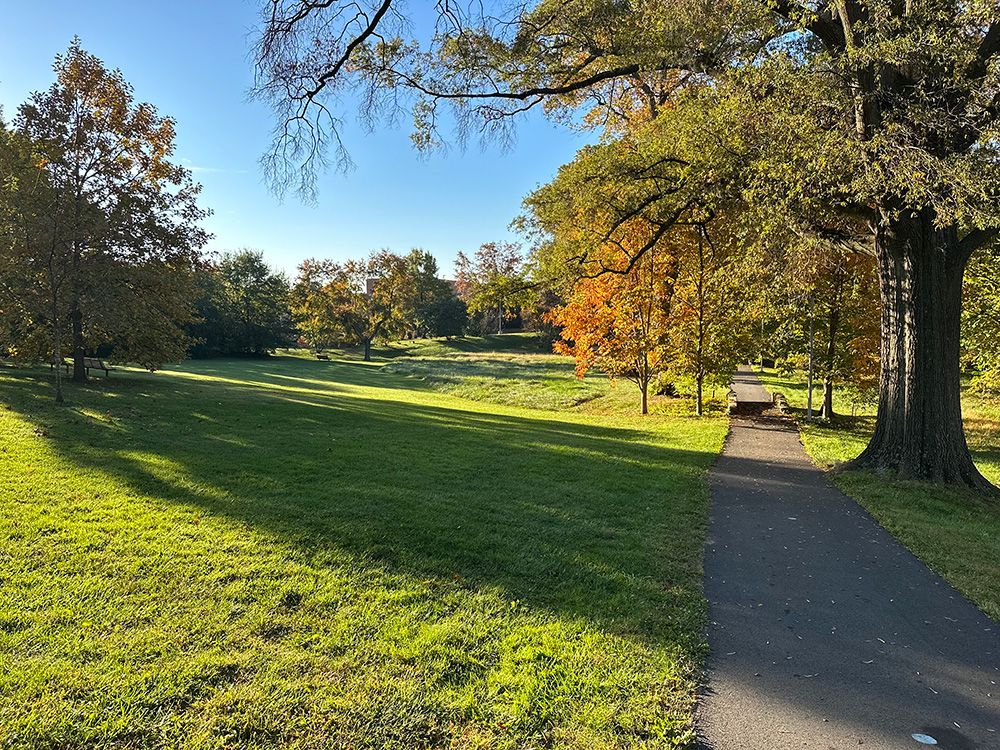 A walkway beneath the trees and over a small bridge