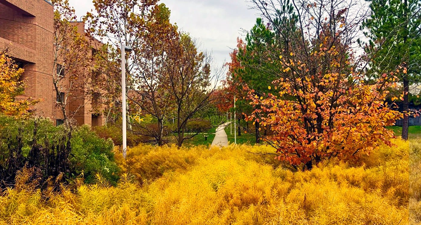 A view of the Narrows as autumn moves toward winter
