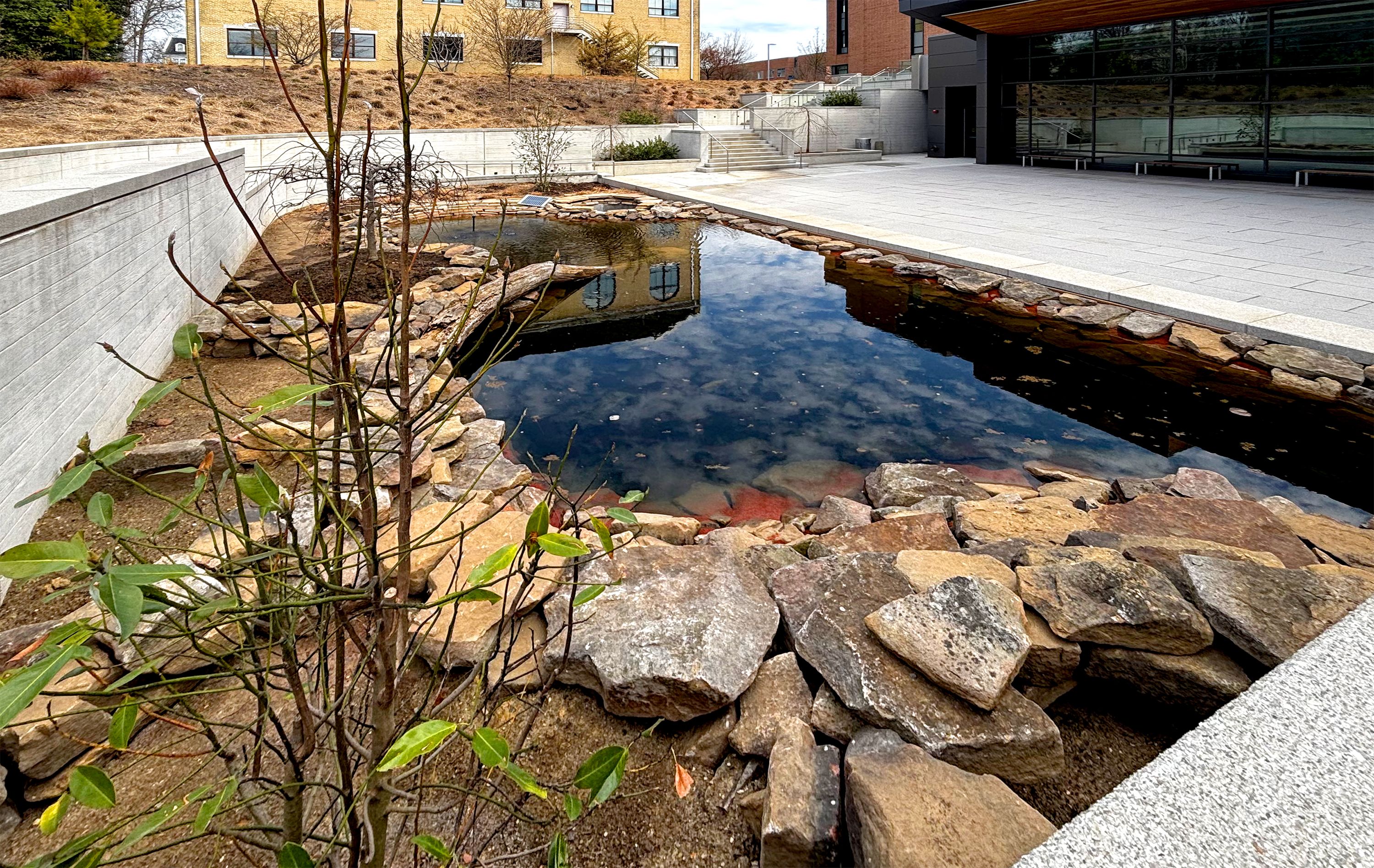 Back corner view of Polaschik Pond, including trees, stones, and the patio behind B Building. 