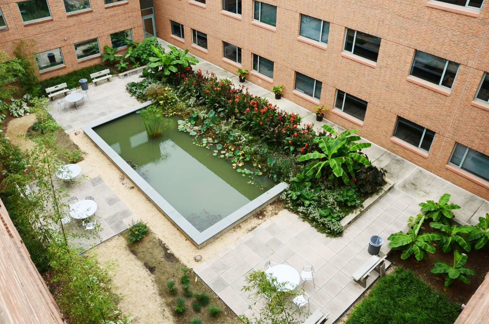 Aerial view of the Pond