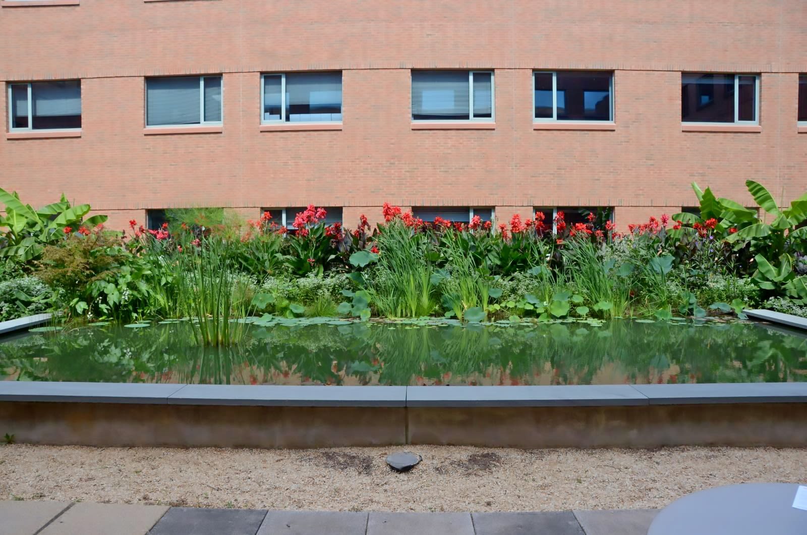 Front view of the Pond