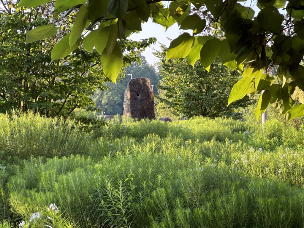 A view of the Rock of Valls Noyes through the spring fields and trees