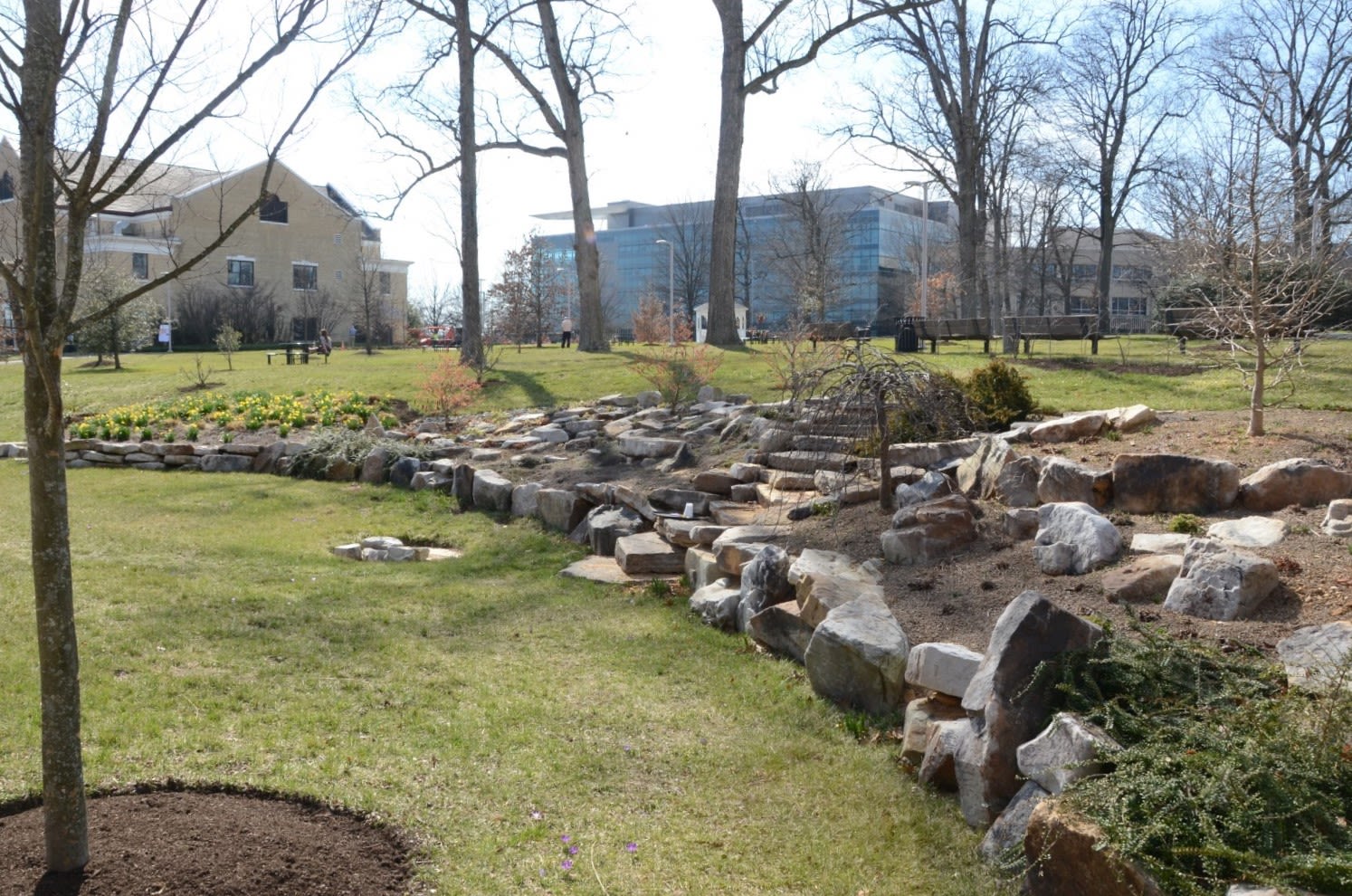 The rockery in winter