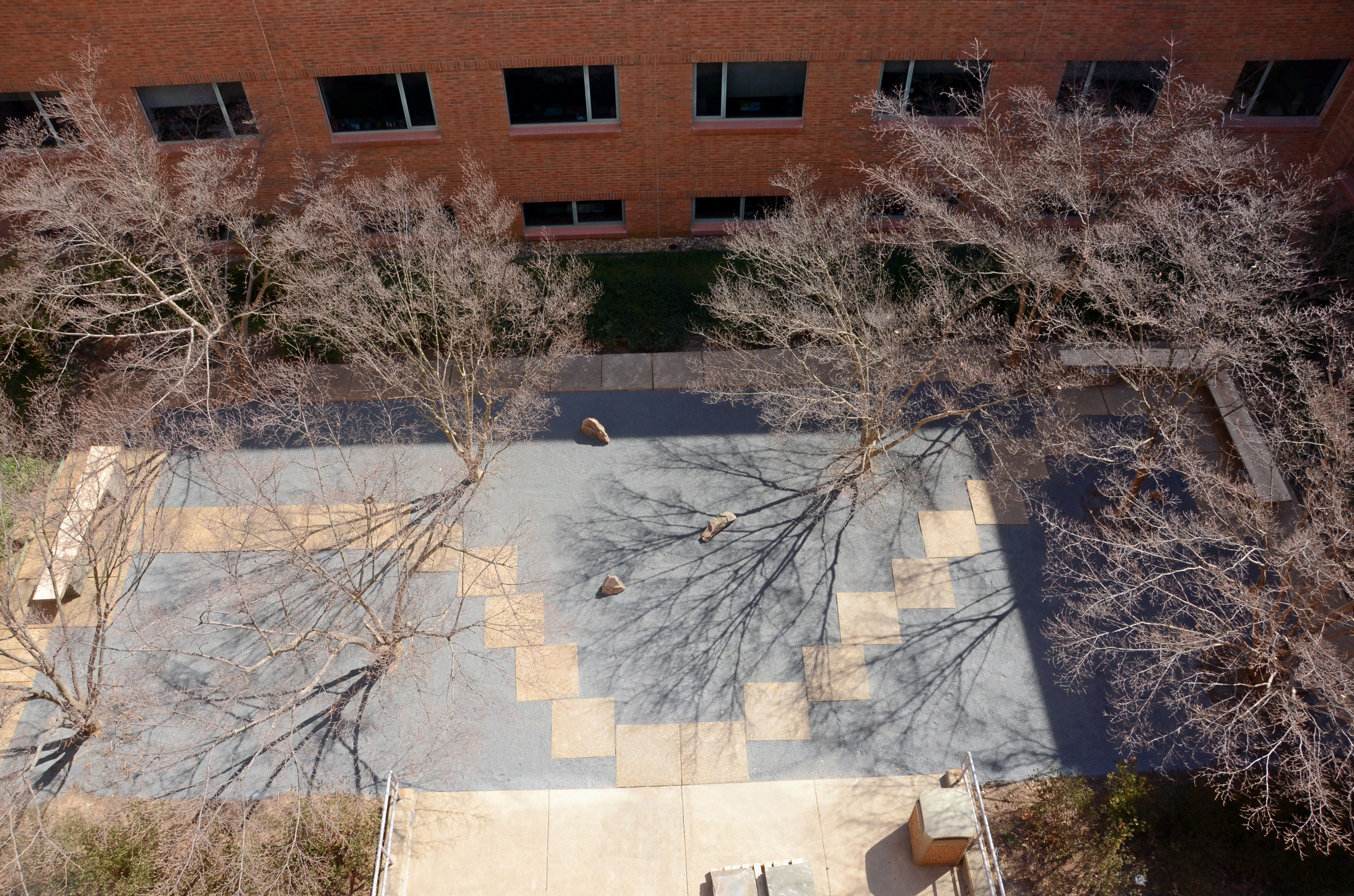 Aerial view of the Romila Thapar Garden in fall