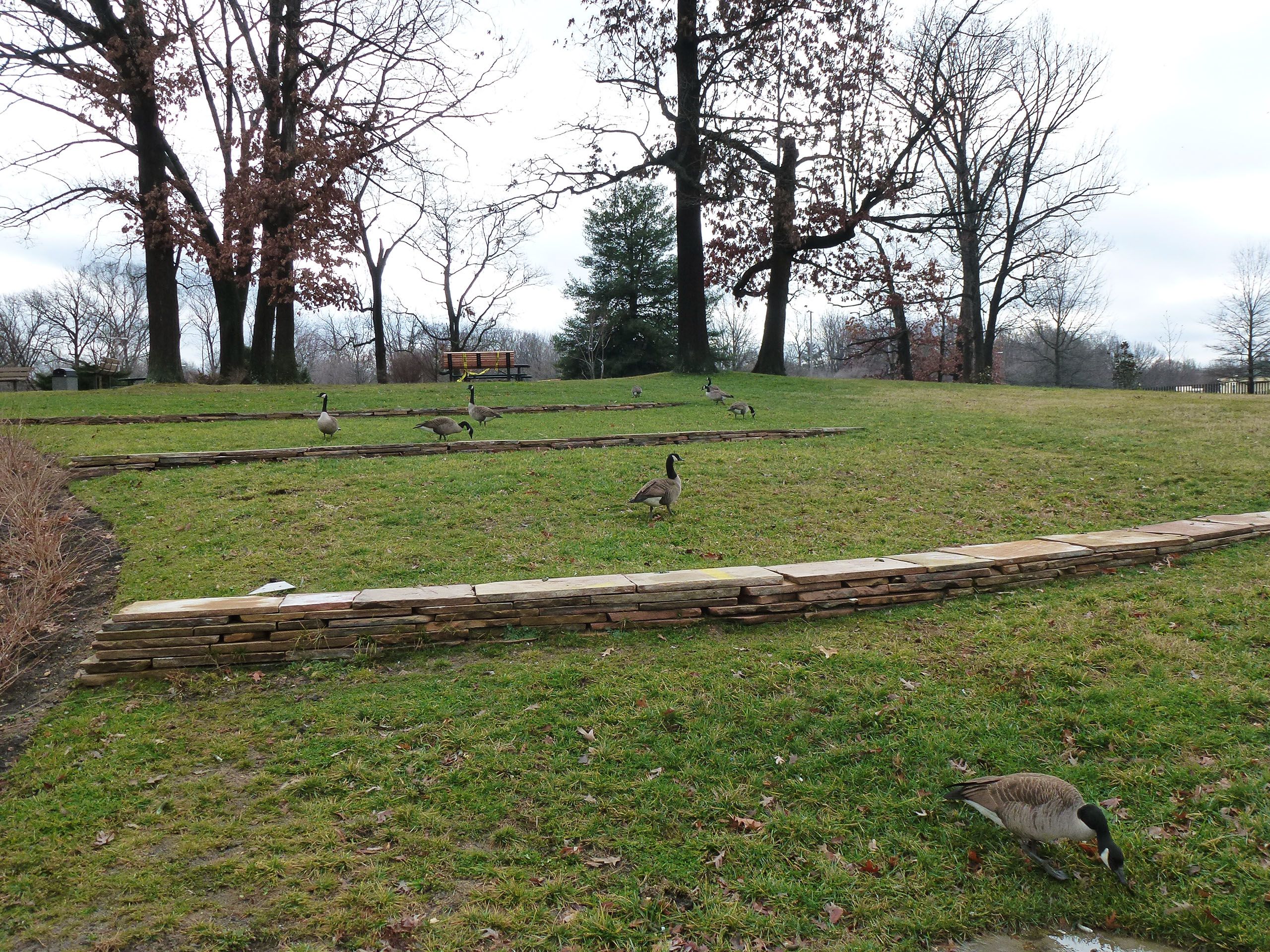 Russell's Knoll with reclaimed stones