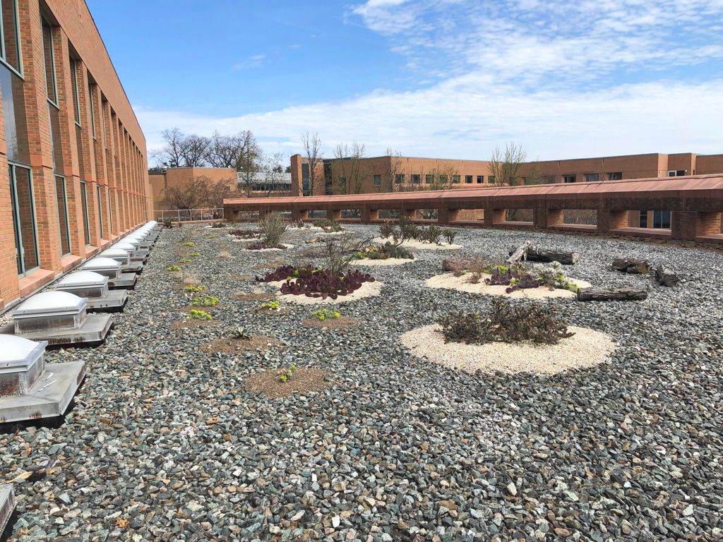 An outside view of the Cactus Roof