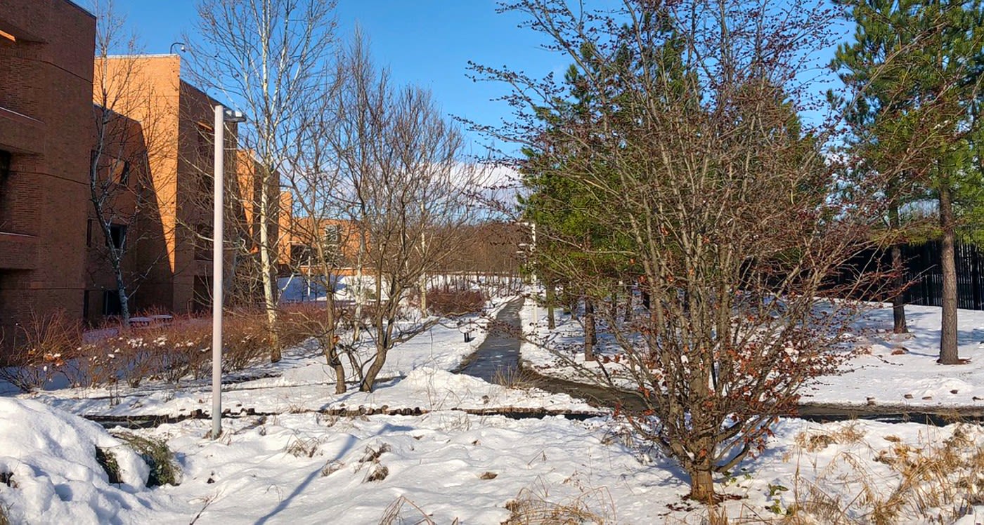 A view of the Narrows in winter