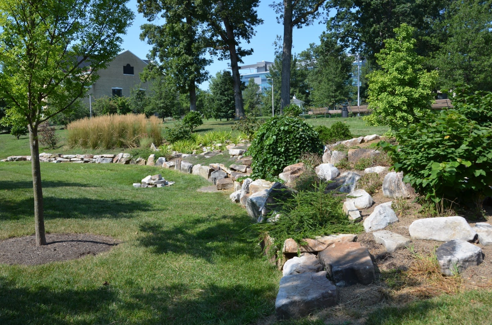The rockery in spring
