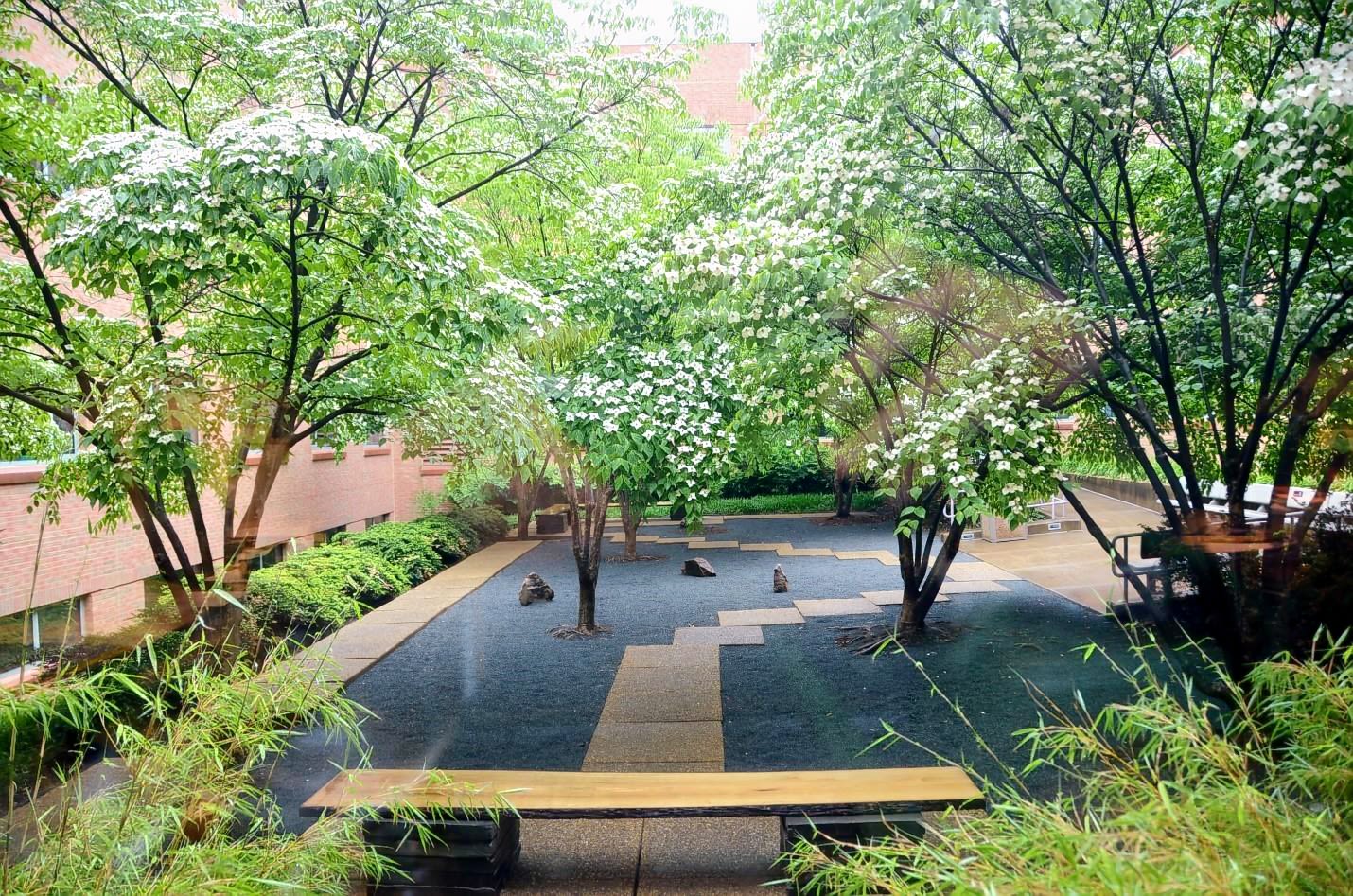 The Romila Thapar Garden