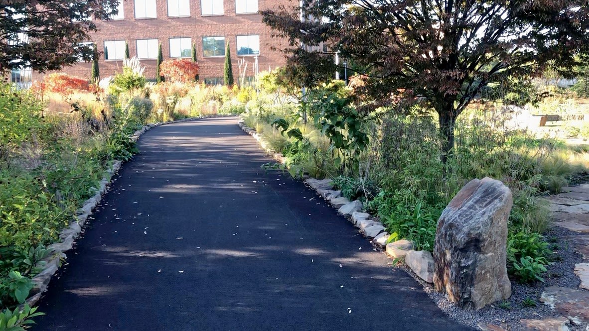 Walking path beneath the trees